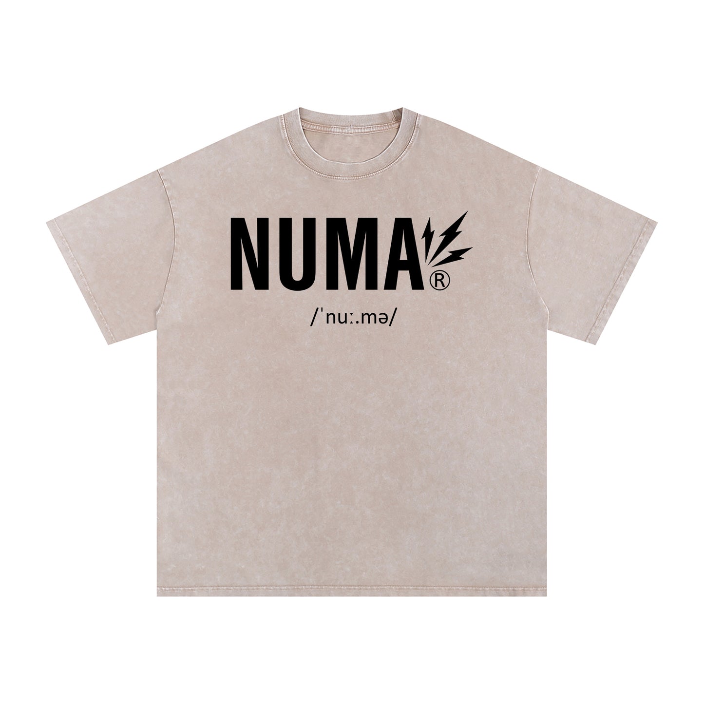 Unisex Snow Washed Oversized Cotton T-Shirt