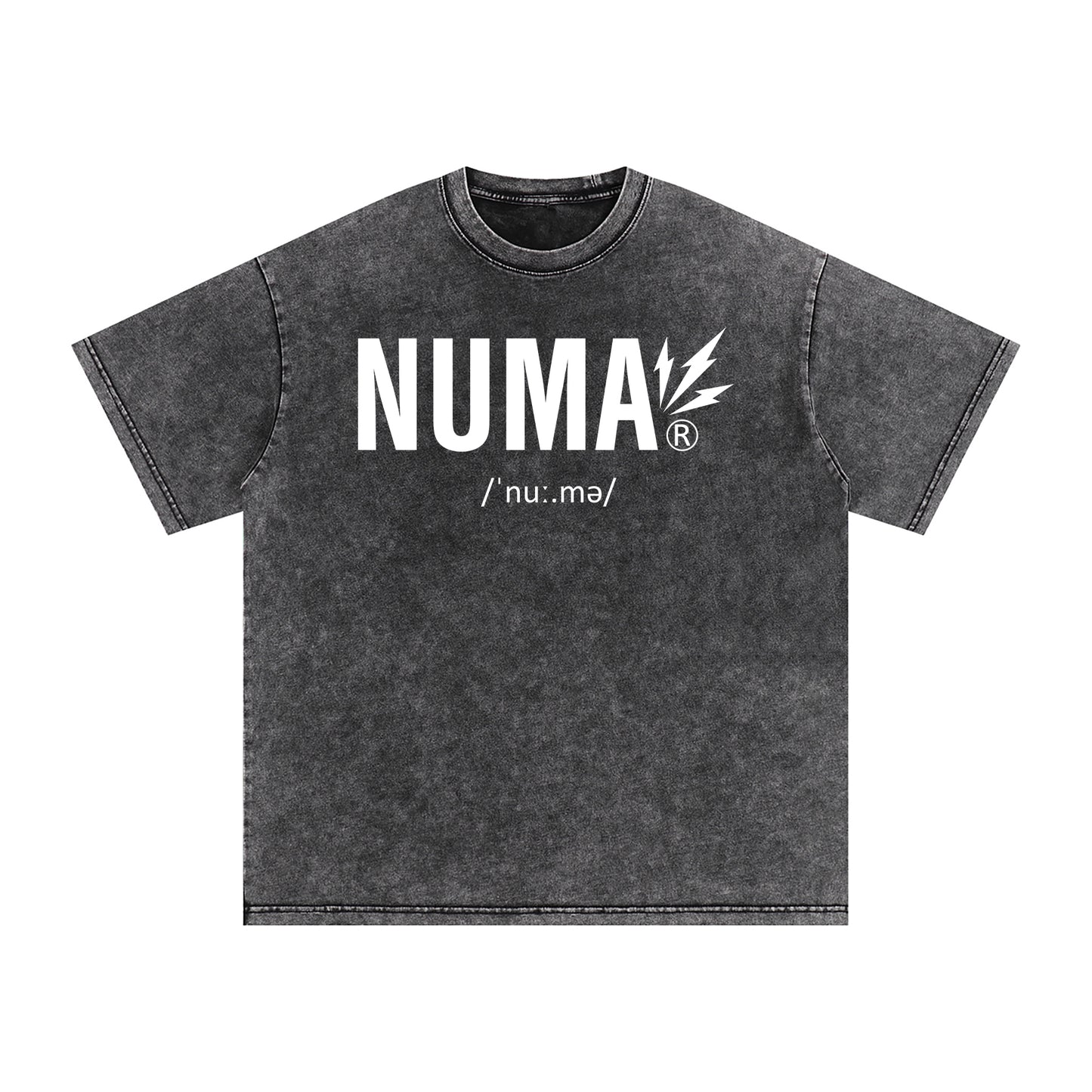 Unisex Snow Washed Oversized Cotton T-Shirt