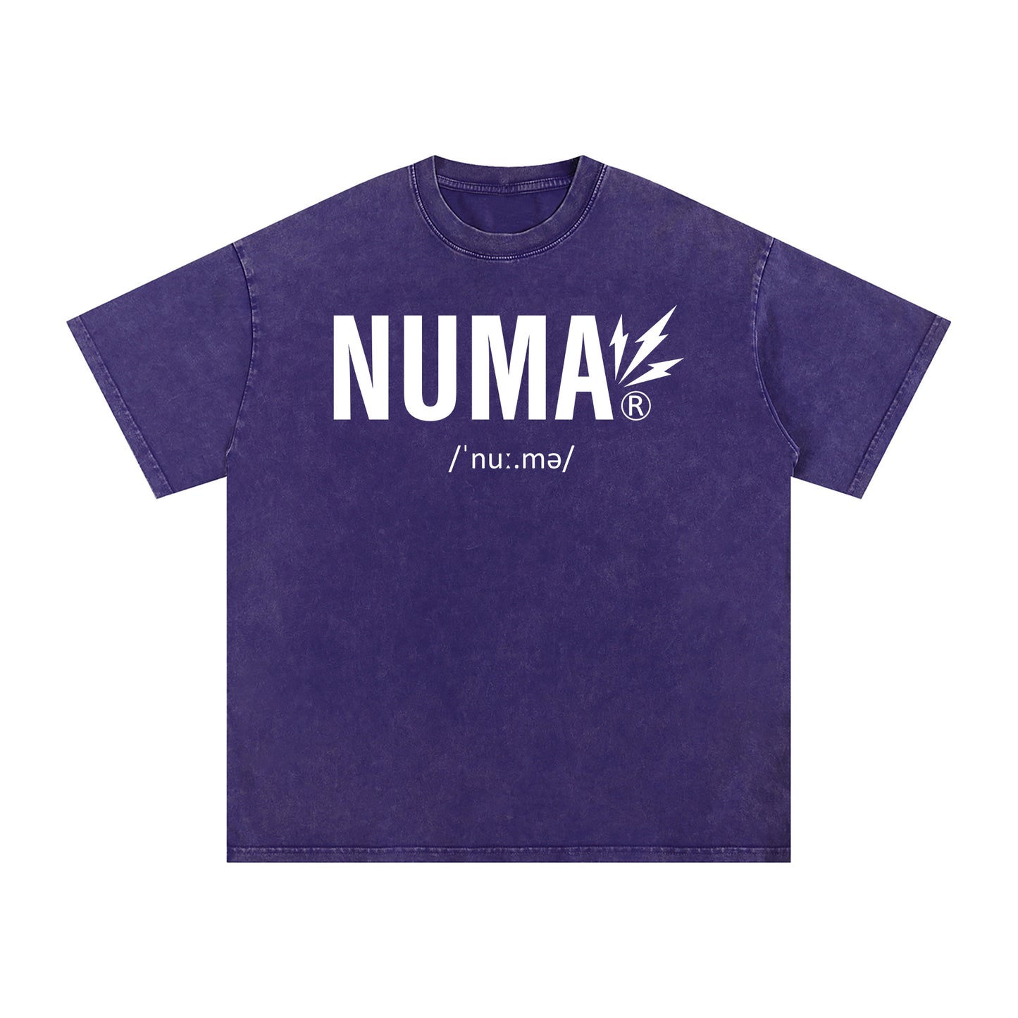 Unisex Snow Washed Oversized Cotton T-Shirt