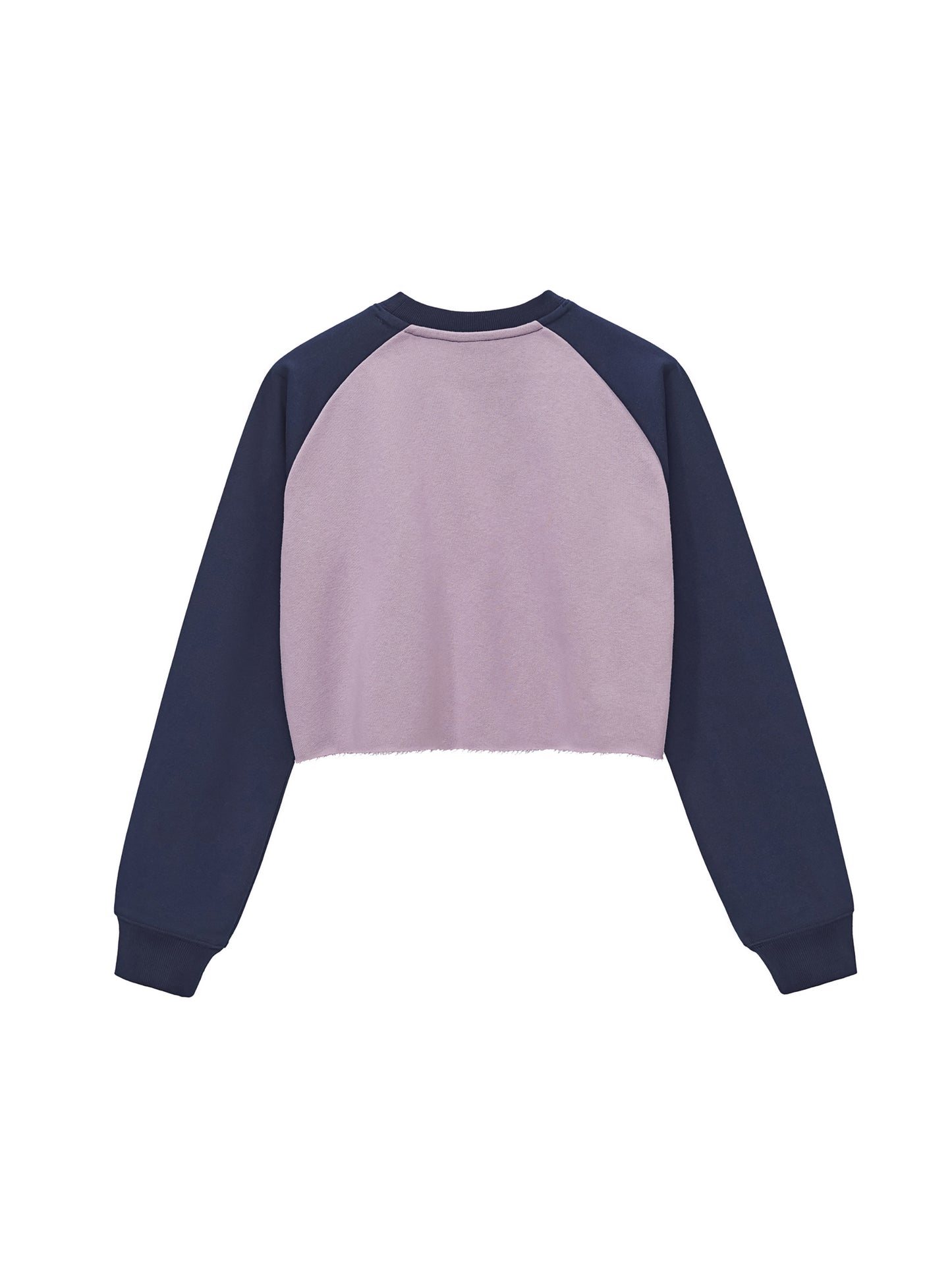 Raw-Hem Color-Block Raglan Crop Sweatshirt
