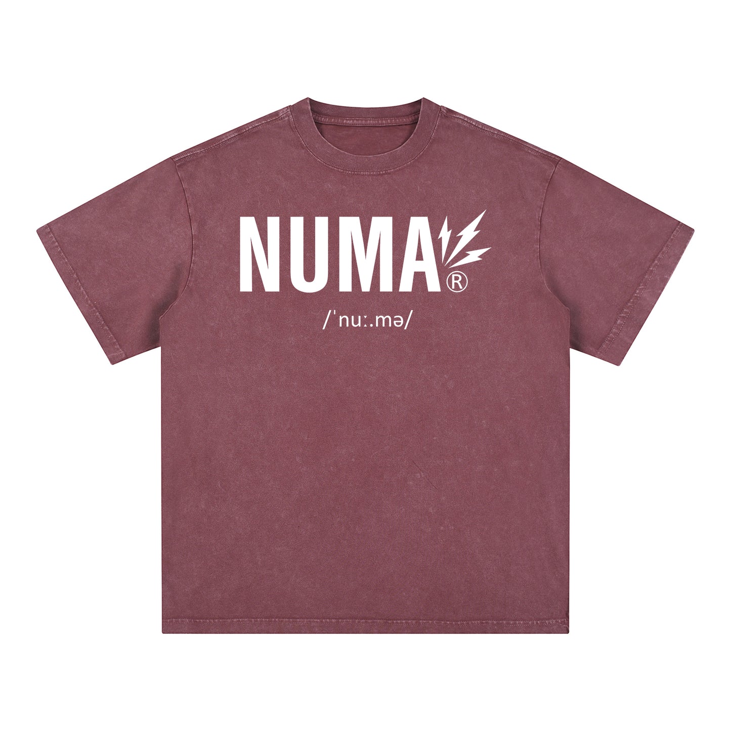 Unisex Snow Washed Oversized Cotton T-Shirt