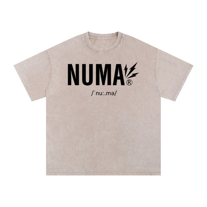 Unisex Snow Washed Oversized Cotton T-Shirt