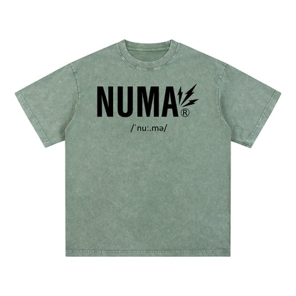 Unisex Snow Washed Oversized Cotton T-Shirt