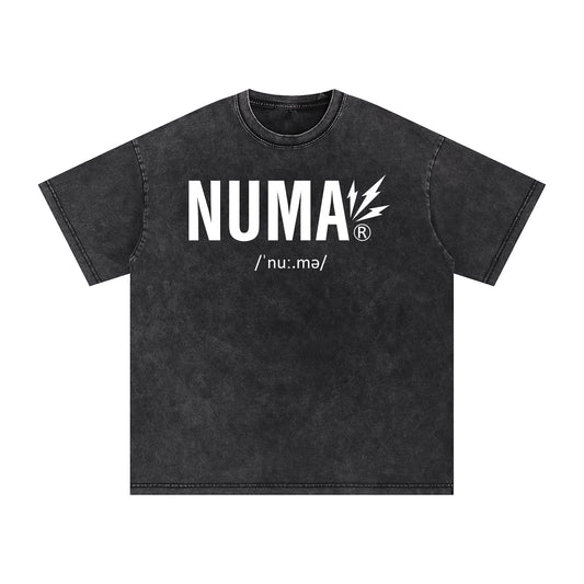 Unisex Snow Washed Oversized Cotton T-Shirt