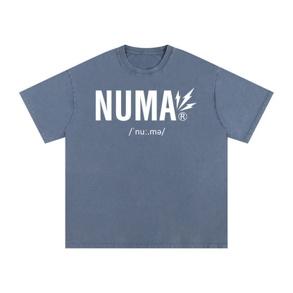 Unisex Snow Washed Oversized Cotton T-Shirt