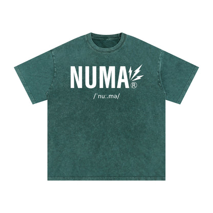 Unisex Snow Washed Oversized Cotton T-Shirt