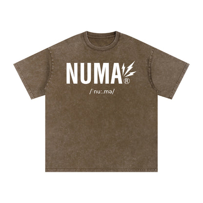 Unisex Snow Washed Oversized Cotton T-Shirt
