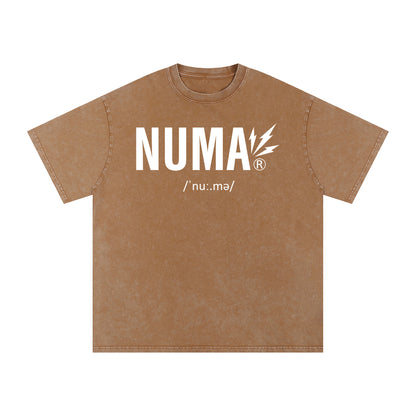 Unisex Snow Washed Oversized Cotton T-Shirt