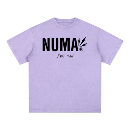 Unisex Snow Washed Oversized Cotton T-Shirt