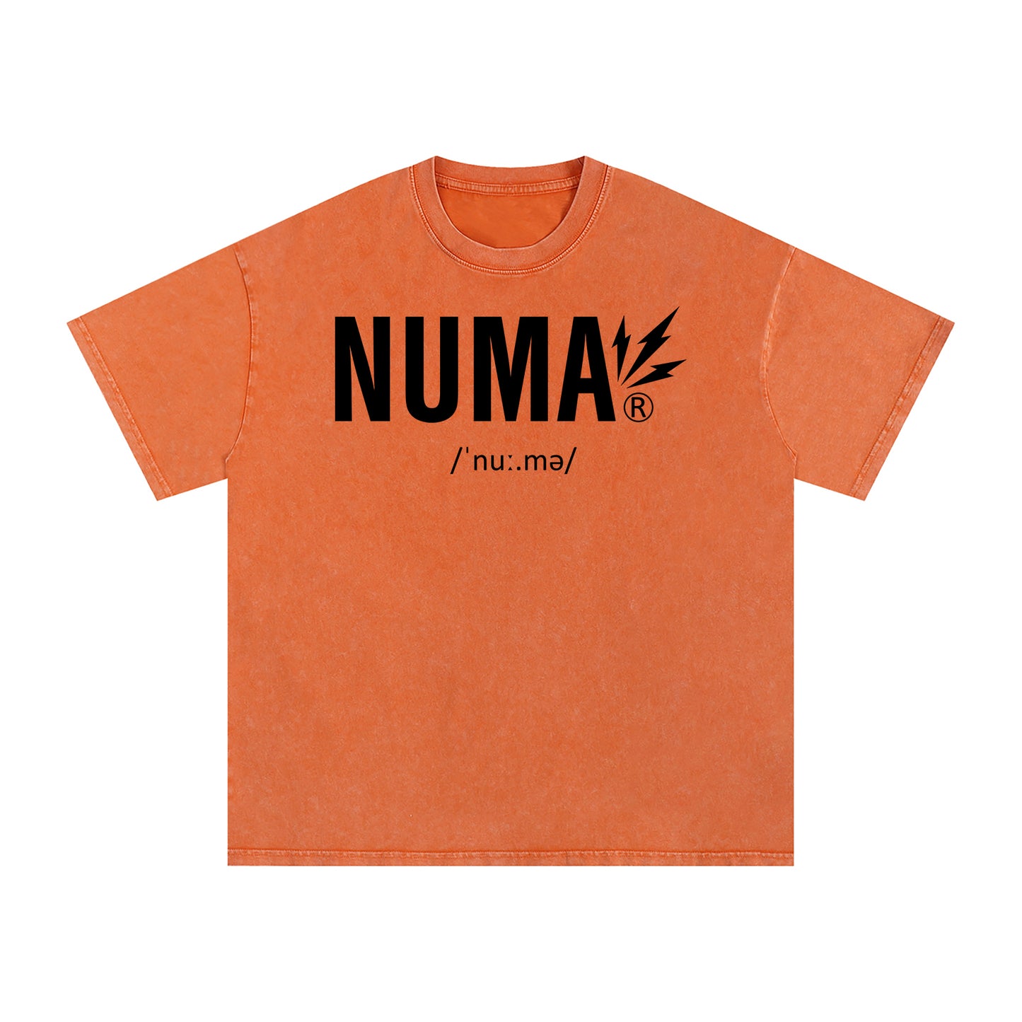 Unisex Snow Washed Oversized Cotton T-Shirt