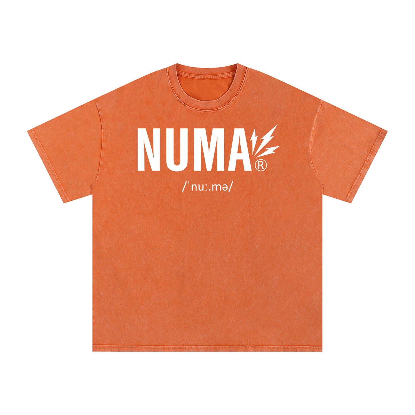 Unisex Snow Washed Oversized Cotton T-Shirt
