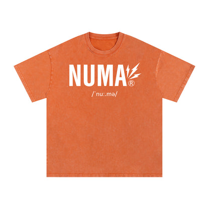 Unisex Snow Washed Oversized Cotton T-Shirt
