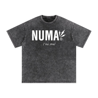 Unisex Snow Washed Oversized Cotton T-Shirt