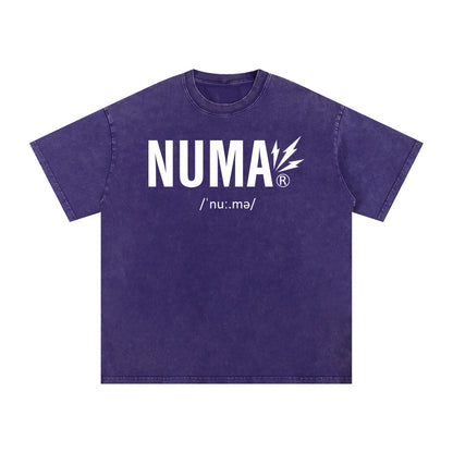 Unisex Snow Washed Oversized Cotton T-Shirt