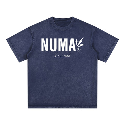 Unisex Snow Washed Oversized Cotton T-Shirt
