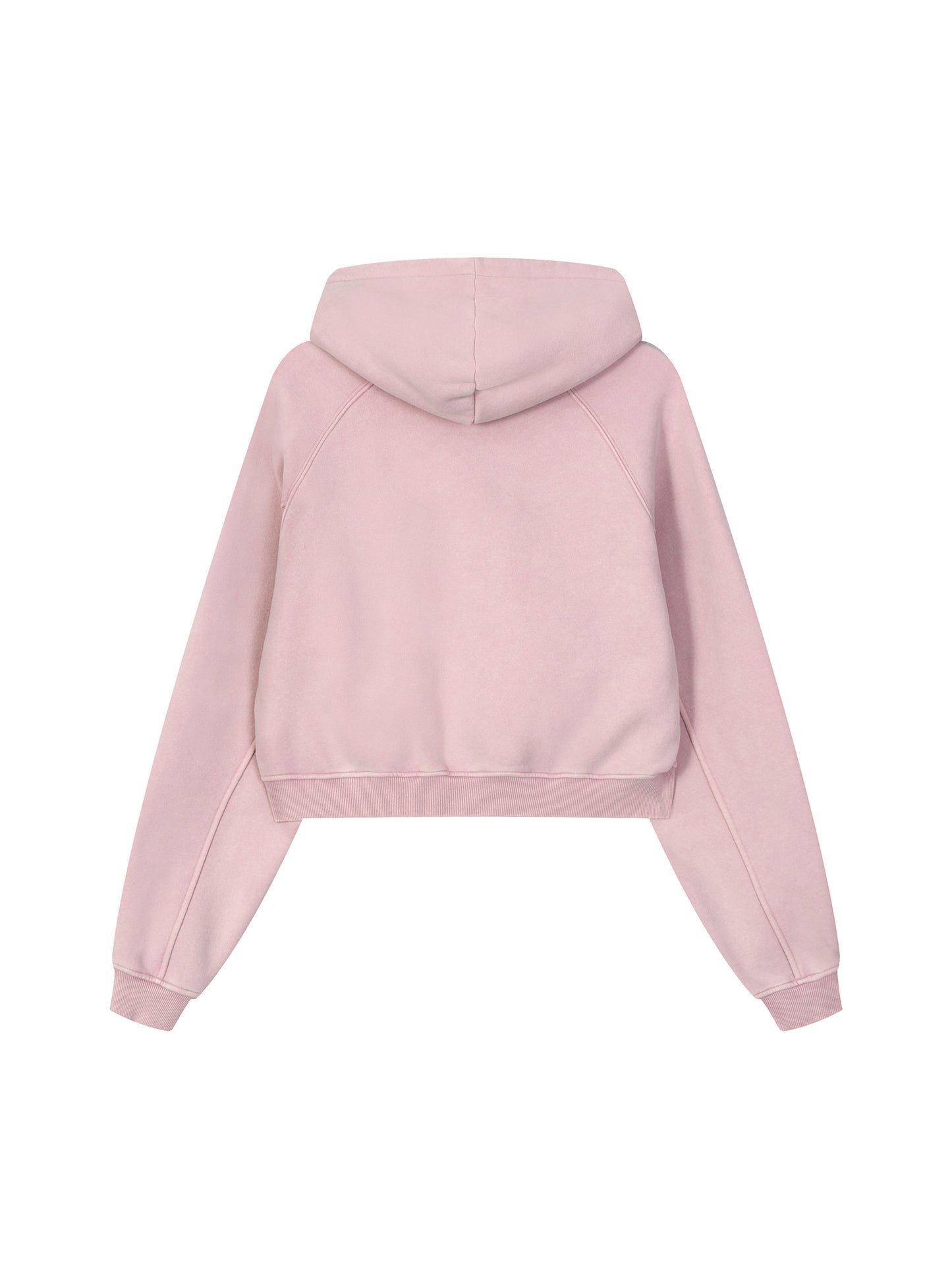 Snow Washed Cropped Hoodie