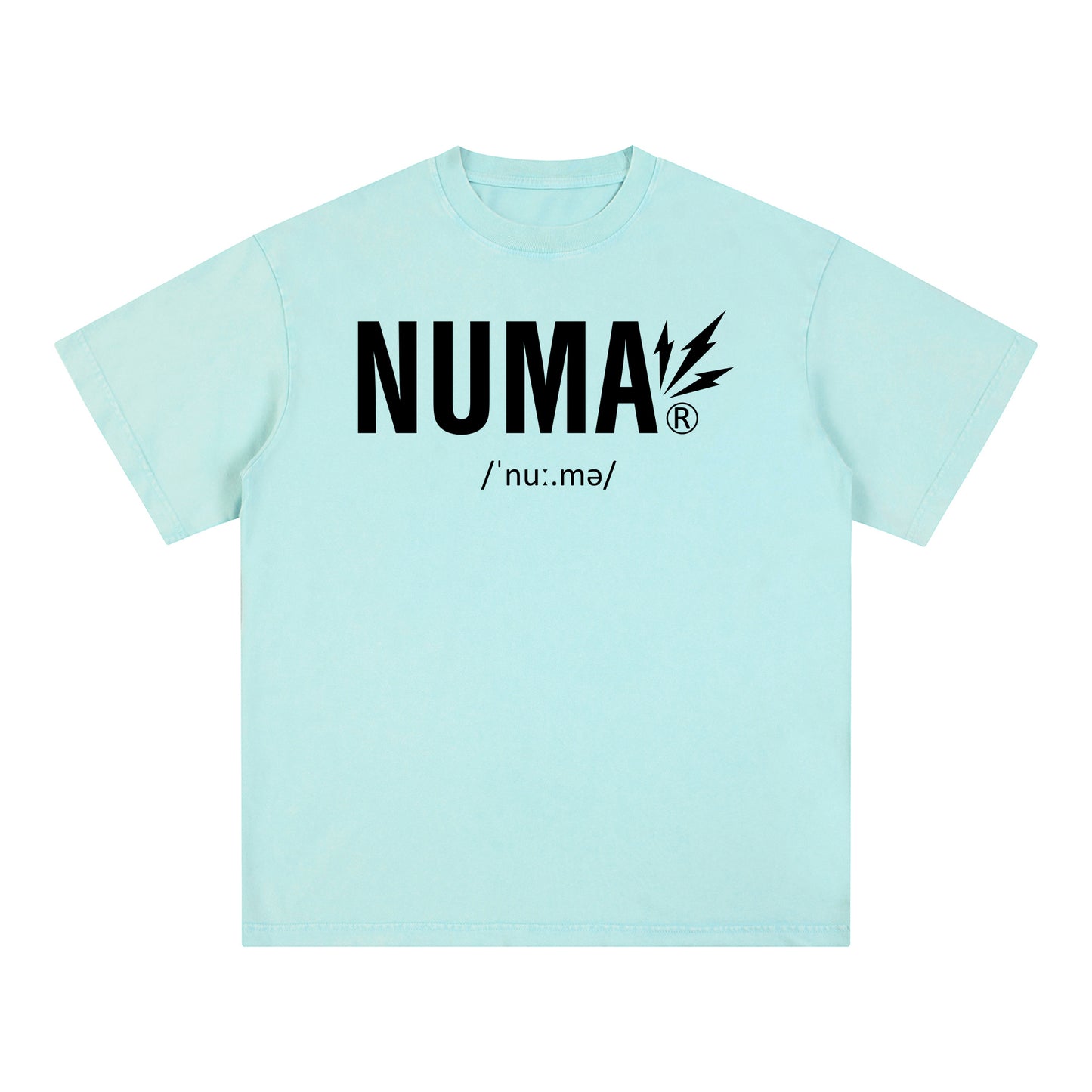 Unisex Snow Washed Oversized Cotton T-Shirt