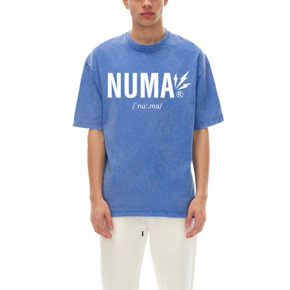 Unisex Snow Washed Oversized Cotton T-Shirt